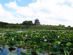 -上海海湾国家森林公园