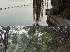 -九曜山