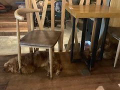 -萌喵咖啡屋(人民东路4号口M16商铺店)