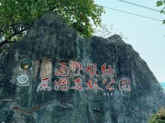 -西双版纳原始森林公园