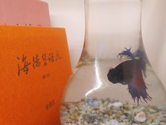 -馨园villa融合菜(东山店)