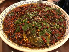 杨记招牌鱼-杨记隆府(白象街店)