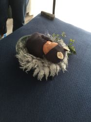 -丽水市妇幼保健院