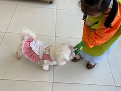 -怪兽屋·羊驼·猫咖·狗咖(俊华广场店)