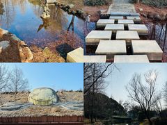 -顾村公园