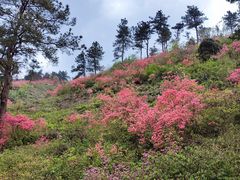 -木兰云雾山
