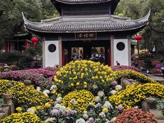 -惠山古镇·寄畅园