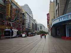 -沈大成(南京东路店)