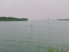 -漕湖湿地公园