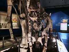 -湖南省地质博物馆