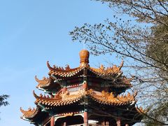 -神光山国家森林公园