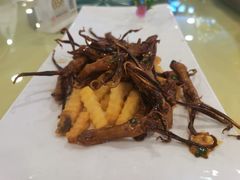 -新梅园不夜粥(龙华店)