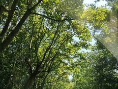 -一江春水·杭帮臻宴(三台山店)