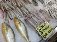 -蚝得喜海鲜(东城店)