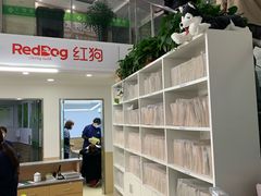 -爱侣宠医·鹦鹉专科·小型哺乳类·异宠专科(灵石路店)