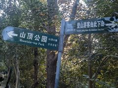 -紫金山山顶公园