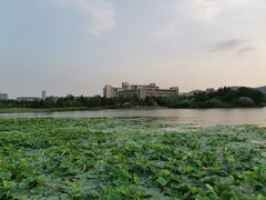 -公益图书馆(江南大学店)