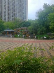 -深圳市儿童乐园