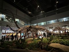 -自贡恐龙博物馆