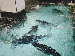 -鱼痴渔醉·食鲜集(月亮湾店)