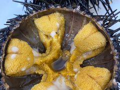 -海胆小馆(东北水饺·春柳店)