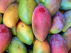 -金鸡岭农贸市场