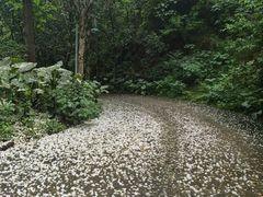 -福道
