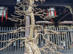 -成都武侯祠博物馆