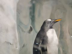 -南昌海洋公园