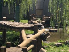 -沈阳森林动物园