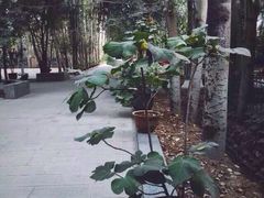 艾提尕尔清真寺-艾提尕尔清真寺