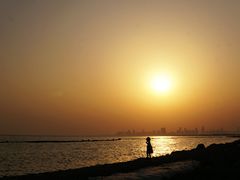 -合肥滨湖国家森林公园