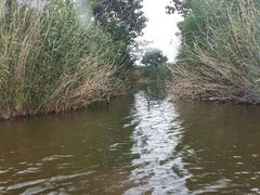 android_upload_pic-五甲塘生态湿地公园