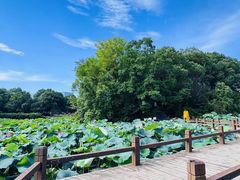 -艾溪湖湿地公园