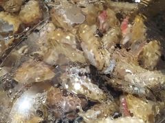 -苏大嘴海鲜牧场(奥林匹克店)