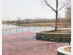 -东郊湿地公园