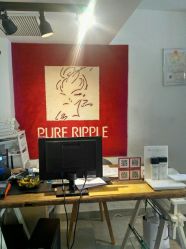 -净漪造型 PURE RIPPLE