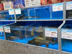 -盒马鲜生(莱蒙都会店)