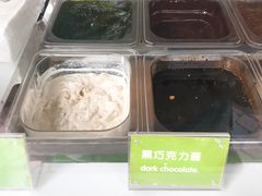 -Salud撒露欧洲冻酸奶(蓝色港湾店)