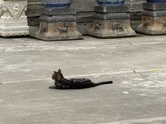 -龙华素斋(龙华路店)