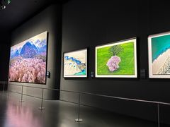 -罗红摄影艺术馆