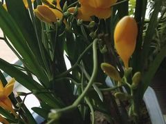 -仪雅阁·泡浴SPA养生馆