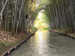 -同里国家湿地公园