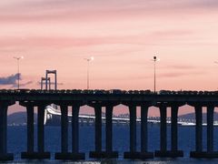 -宝安西湾红树林湿地公园