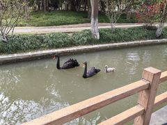 -交大留园(东川路店)