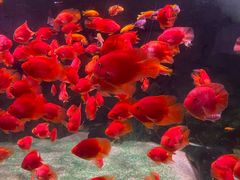 -常州海昌海洋探索馆