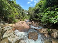 -广州白江湖森林公园