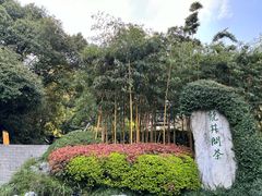 -十八棵（老龙井）御茶园(老龙井店)