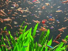 -成都浩海立方海洋公园