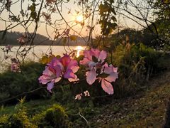 -水濂山水库景点停车场